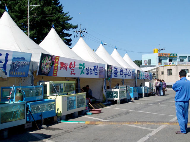 자세히보기